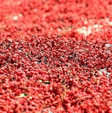 Ѱζ֮ã04߽ˬڵï롰ۡ