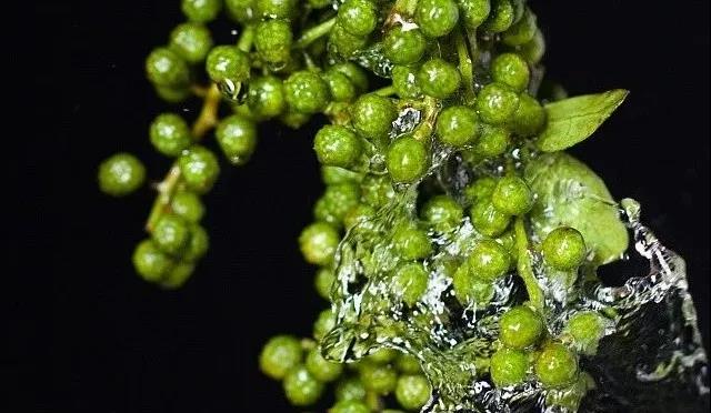 ΢ÐÅͼƬ_20200518170623